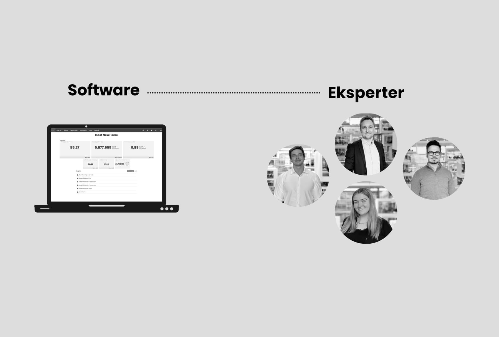 Software og eksperter